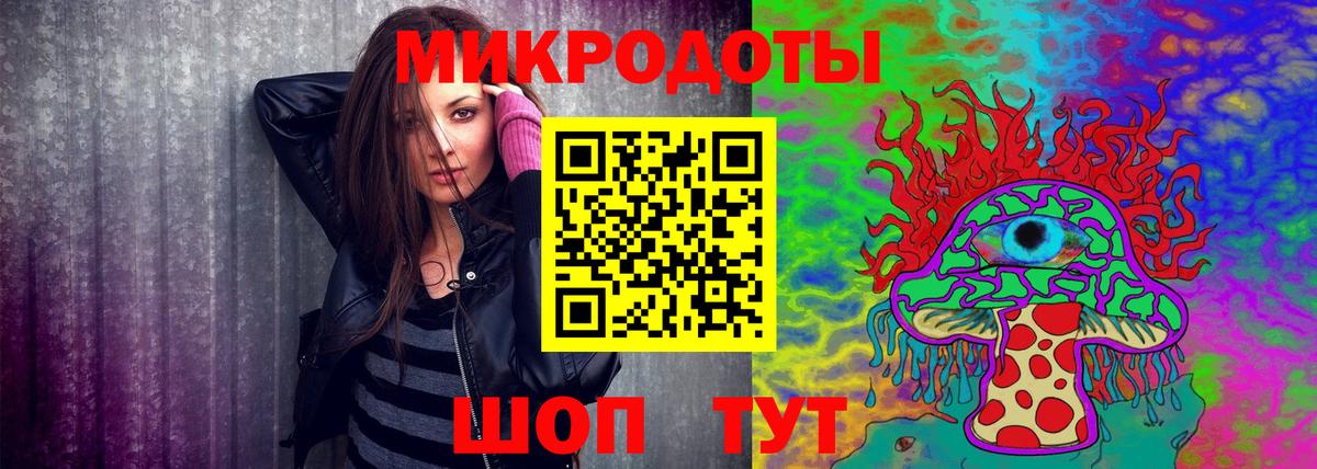 Псилоцибиновые грибы мицелий Тара