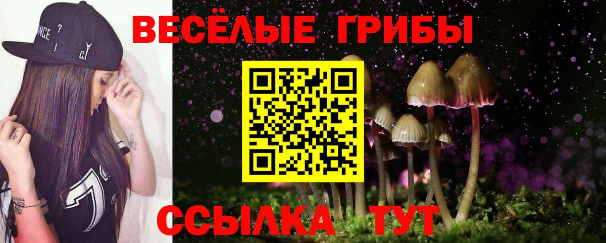 Псилоцибиновые грибы GOLDEN TEACHER  Вход с VPN  Галлюциногенные грибы GOLDEN TEACHER  Тара 